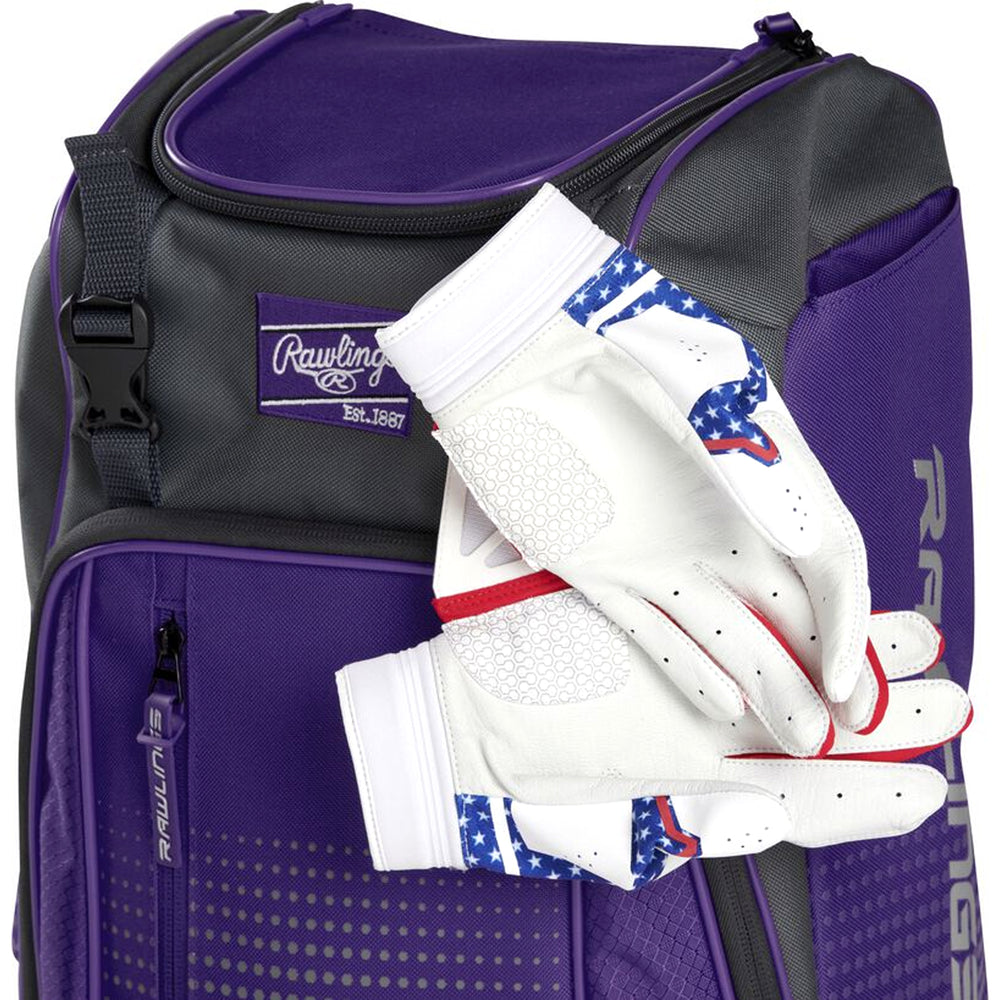Backpack Mochila Beisbol Softbol Rawlings Franchise Morado Infantil