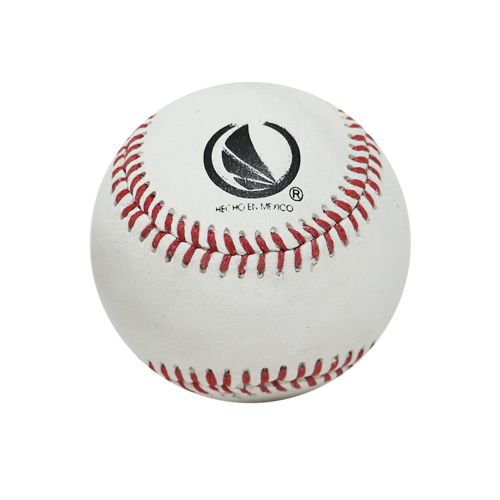 Pelota Para Entrenamiento o Arrastre America Piel